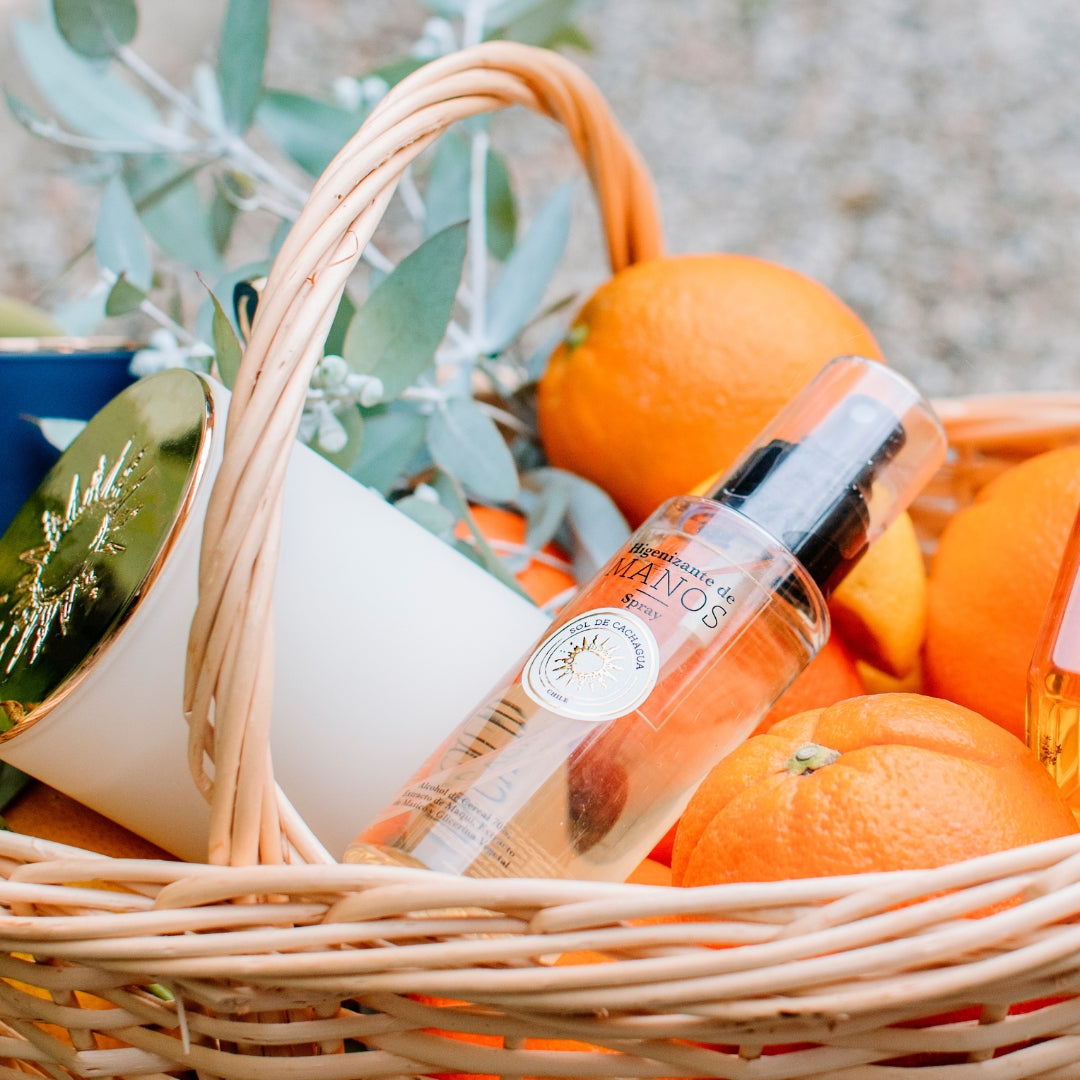 Higienizante de Manos y Aromatizante Nativo Spray 100 mL